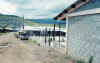 escuela.jpg (221732 bytes)