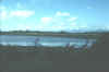 S5.jpg (62506 bytes)