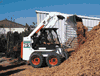 bobcat.gif (4407 bytes)